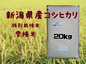  special cultivation rice Niigata prefecture production Koshihikari 20k