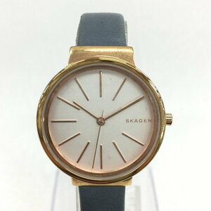 SKAGEN スカーゲン SKW2482 腕時計【CAAZ1095】