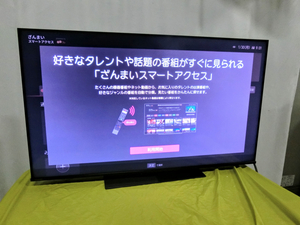 【2022年製】 東芝 TOSHIBA 液晶テレビ REGZA レグザ 50V型 4K 50Z670L MT