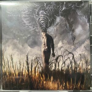 【新品同様】【廃盤激レアCD】Lacerate Thy Maker / Submergence【Deathcore】Night In Texas,Enterprise Earth,Vulvodynia,Viscera,Spite