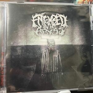 【新品同様】【廃盤激レアCD】Entombed In The Abyss / S.T.【Deathcore】Worm Shepherd,Angelmaker,Winds of Plague,Suicide Silence