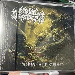 【新品同様】【廃盤超絶レアCD】Carnal Disfigurement / An Intense Hatred For Humanity【ブルデス】Devourment,Embyonic, Organectomy