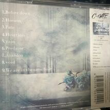 【新品同様】【廃盤激レア】C-GATE / void【国内Metalcore】Graupel,Sailing Before The Wind,Sim,Babymetal,Her Name In Blood,Dexcore_画像2