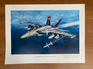 Art hand Auction VAQ-132 Scorpions EA-18G グラウラー ポスター アメリカ海軍 US NAVY 戦闘機 絵画 ボーイング スコーピオンズ Growler ホーネット f-18, ホビー, カルチャー, ミリタリー, その他