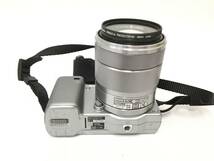 ★ SONY α NEX-5 + E 3.5-5.6/18-55 OSS 0.25mm/0.82ft + E 2.8/16 0.24m/0.8ft ★ ソニー デジタル一眼カメラ_画像7