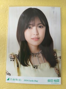 乃木坂46 柴田柚菜 生写真 2024.Lucky Bag 福袋B カレンダー衣装 ヨリ