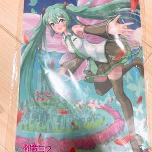 初音ミク クリアファイル 新品