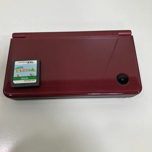 Nintendo 任天堂 DSiLL ワインレッド DSi おいでよどうぶつの森 動作未確認 現状品