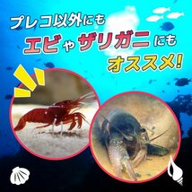 産卵 シェルター 筒 細長 5個 セット 熱帯魚 アクアリウム 陶器 隠れ家 土管 洞窟 水槽 装飾 飾り 魚 稚魚 ザリガニ エビ プレコ K1-_画像3