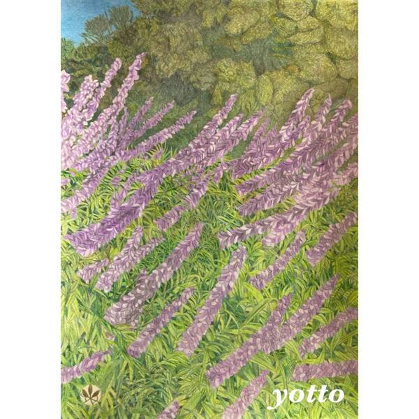 色鉛筆画「 アメジストセージ 」A4・額付き◇◆手描き◇原画◆花◇◆yotto■50%OFF