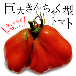 【オシャレぶさいく】巨大きんちゃく型トマトの種10粒～1kgも夢じゃない～