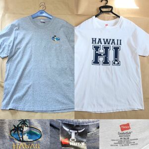 HANES HAWAII Tシャツ 2枚セット M/L程度 ハワイ アメリカ 古着 プリント 刺繍 白 グレー ヘインズ