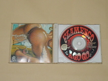 GARAGE PUNK：THE FLAMENCO A GO GO / FULLY FED FREAKS(PETTY BOOKA,ROCKIN'JELLY BEAN,ロッキン・ジェリービーン）_画像4