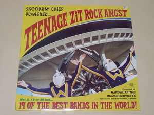 GARAGE PUNK：TEENAGE ZIT ROCK ANGST(TEENGENERATE,NEW BOMB TURKS,THE SMUGGLERS,THE DRAGS,LEATHER UPPERS,FALLOUTS,GOBLINS)