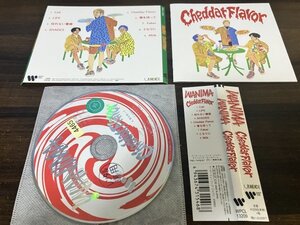 Cheddar Flavor WANIMA CD ワニマ　即決　送料200円　110