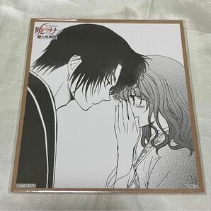 暁のヨナ 大原画展 原作 色紙風カード 特典 ハク ヨナ