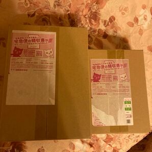 ポケモンカード151 2023横浜記念デッキピカチュウ ポケセン産 スカーレット バイオレット BOX
