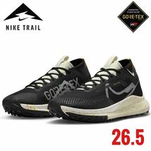 NIKE ナイキ　NIKETRAIL ナイキトレイル　ランニングシューズ　ペガサストレイル　ゴアテックスpegasusutrail トレイルラン トレラン_画像1