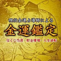 【初回限定】霊視鑑定　お金　金運　財運　開運　貯金　占い　宝くじ　借金　臨時収入_画像1