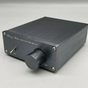 Breeze Audio デジタルアンプ TPA3116 ステレオ オーディオ ミニアンプ パワーアンプ チャンネル 小型 音響 機器 MINI POWER AMPLIFIER