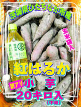 【送料無料】令和5年度収穫　さつまいも　紅はるか　小芋　20kg　茨城県　大学いも　訳アリ　煮物　業務用　弁当　惣菜　焼いも_画像1