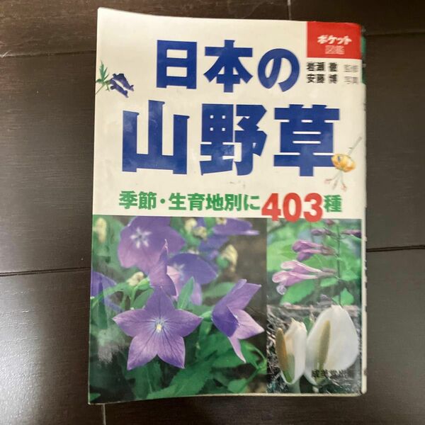 日本の山野草 （ポケット図鑑　Ｈａｎｄｙ　ｌｉｂｒａｒｙ） 岩瀬徹／監修　安藤博／写真