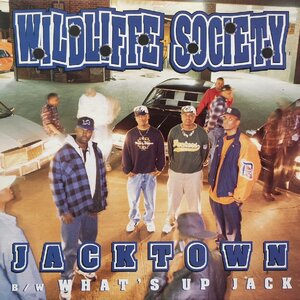 WILDLIFFE SOCIETY / Jacktown / What's Up Jack 12inch Vinyl record (アナログ盤・レコード)