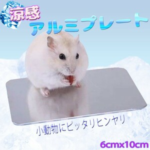 送料無料 小動物用 アルミプレート クールマット（小）ハムスター ハリネズミ 体温調整 6cmx10cm 涼感グッズ クールプレート 暑さ対策