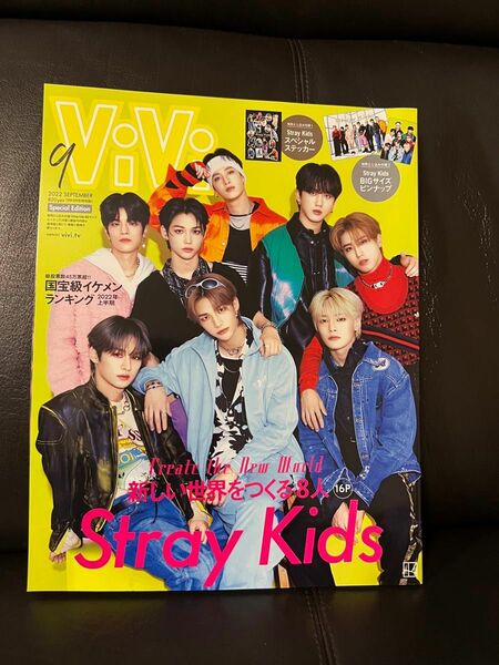 ViVi 9月号 特別版 Stray kids スキズ 雑誌