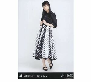 2【201】乃木坂46 公式グッズ 生写真 1枚　金川紗耶　ヒキ　スペシャル衣装19 乃木坂46 2019.July