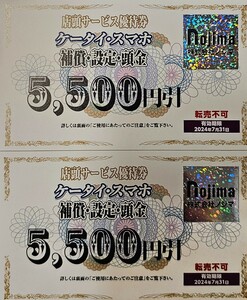 【送料無料！】ノジマ 株主優待券 ケータイ・スマホ　補償・設定・頭金 5500円割引券 2枚セット 最新 ～2024.7.31