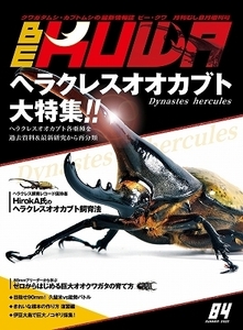 代引き不可！ビークワ84号【絶版】　送料無料！