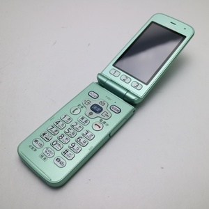 F-02J Easy Hong Mint Green в тот же день в тот же день отправил Garakae Docomo White Rom Division в субботу, воскресенье и праздники OK