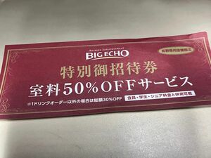 送料無料！ビックエコー　BIG ECHO 室料半額　50%off オフ　券　3枚