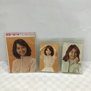 ※【同梱可】女優　石川ひとみ　1959年　昭和アイドル　歌手　　昭和レトロ