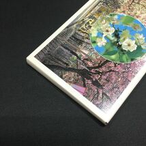 宝【同梱可】桜の通り抜け記念　貨幣セット 平成3年　1991年　造幣局 ミントセット 総額666円_画像4