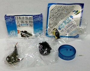 レッドテールキャットフィッシュ　日本水族館立体生物図録　ペンギン付　海洋堂 ナマズ　熱帯魚 アマゾン レッドテールキャット フィギュア