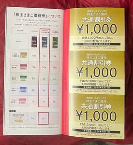 西武鉄道 西武ホールディングス 株主優待券 冊子内野指定席2枚　500株以上1000株未満　2024/5/31　