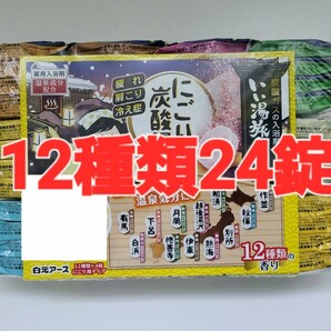 入浴剤　にごり炭酸湯 12種類24錠 温泉香りのバラエティーセット　【バラ売り】