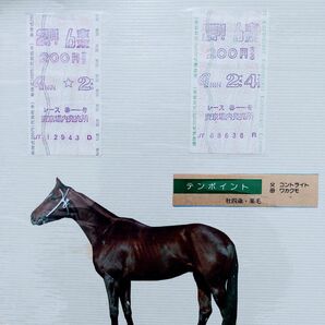 JRA 旧勝馬投票券タイプの当たり馬券。唯一無二のプレミアムセット馬券　テンポイントの単勝と枠連の当たり馬券二枚セット