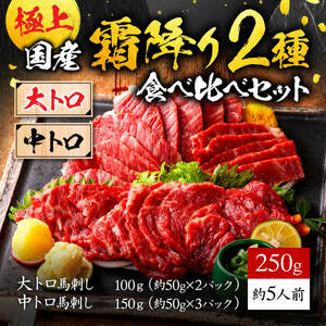 馬刺し 国産 霜降り 肉 2種食べ比べセット大トロ 中トロ 合計250g 馬肉 馬刺 セット 食品 利他フーズ 食べ物 惣菜 ばさし 国産馬刺し