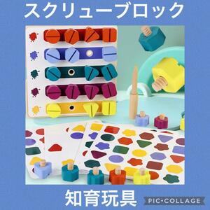 スクリューブロック　絵合わせ　パズル　知育玩具　モンテッソーリ好評