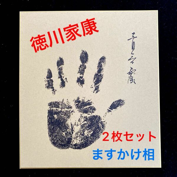 徳川家康　ますかけ相　強運手形　2枚まとめて