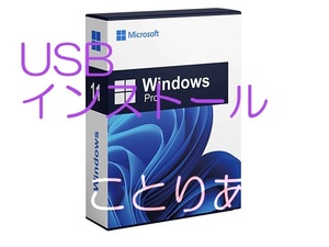 Microsoft Windows 11 Pro USBメディア ＋ ライセンス 実績作りのために赤字出品 7000円 出品と同等