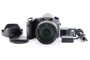 ★極上美品★ソニー SONY Cyber-shot DSC-RX10M4 RX10IV #9202