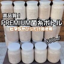 極上！ヒマラヤひらたけプレミアム菌糸瓶【800ml 】トレハロース・ローヤルゼリー・キトサン強化配合　ニジイロクワガタ、オオクワにお薦め_画像1