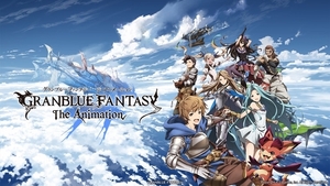 GRANBLUE FANTASY The Animation　グラブル アニメシリアルコード　1期 特典　全巻セット 金剛晶 ヒヒイロカネ