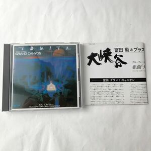 ● CD 大峡谷 冨田勲＆ザ・プラズマ・シンフォニー・オーケストラ RCA R32C-1046 111