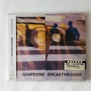 ＢＲＥＡＫＴＨＲＯＵＧＨ＋リアリティ／ＧＲＡＰＥＶＩＮＥ