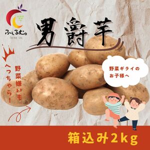 C1 北海道産 じゃがいも 男爵芋 箱込2kg